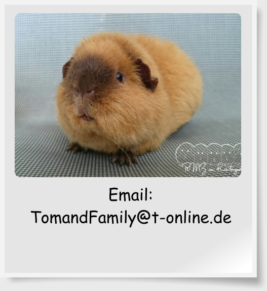 Email:  TomandFamily@t-online.de